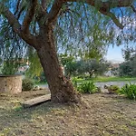Апартаменты Bruna's House *
