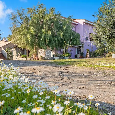 Bruna's House Apartment