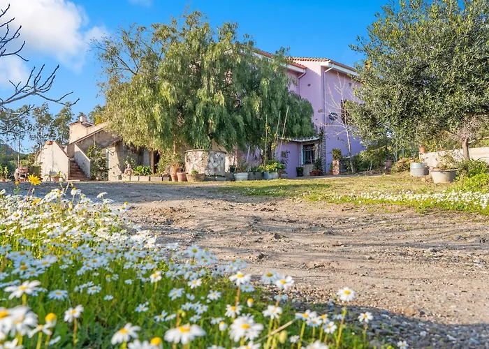 Bruna's House Apartment